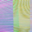 Untitled #21 Painting